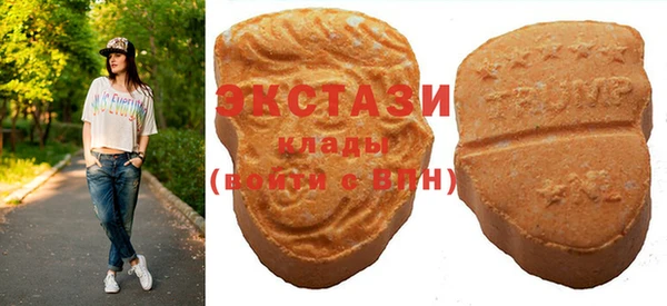 тгк Сатка